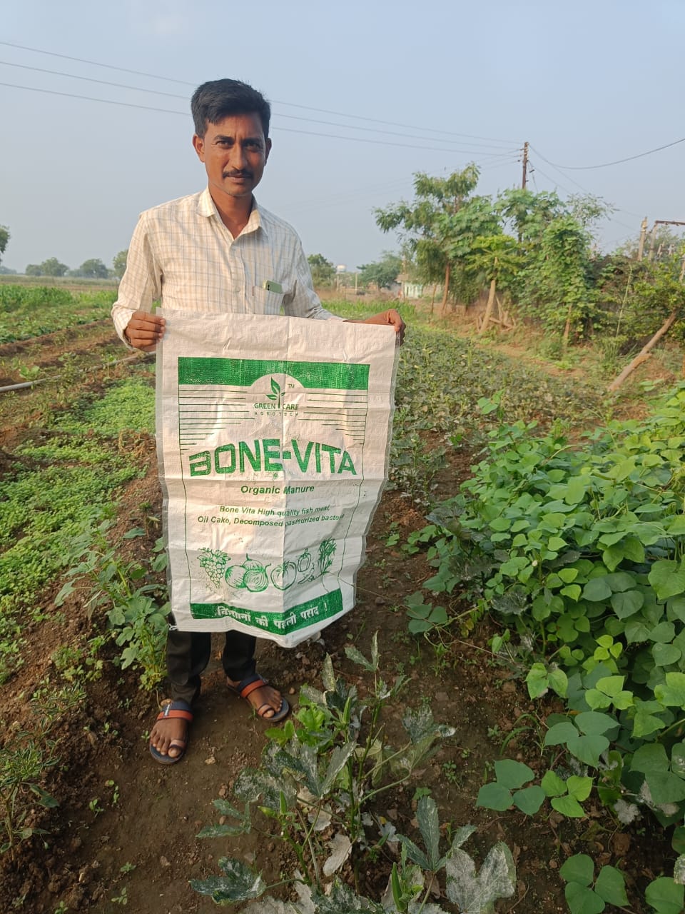 GreenCare AgroTech gallery image 1