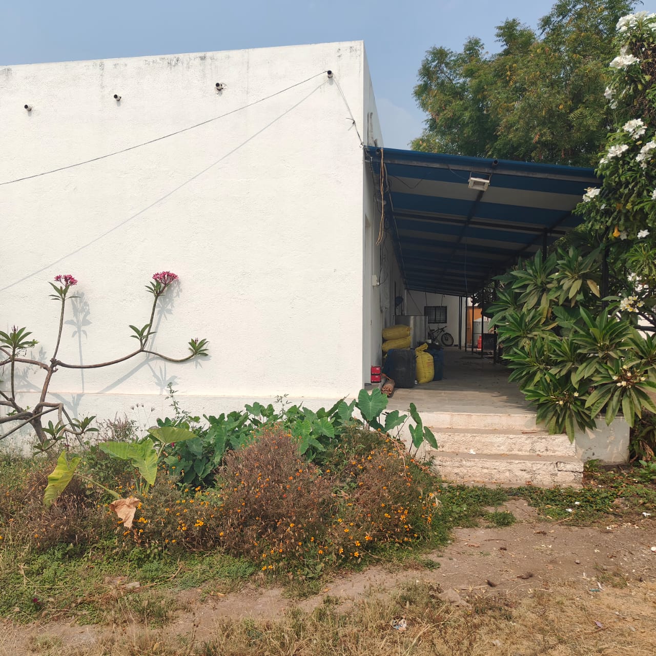 GreenCare AgroTech gallery image 11