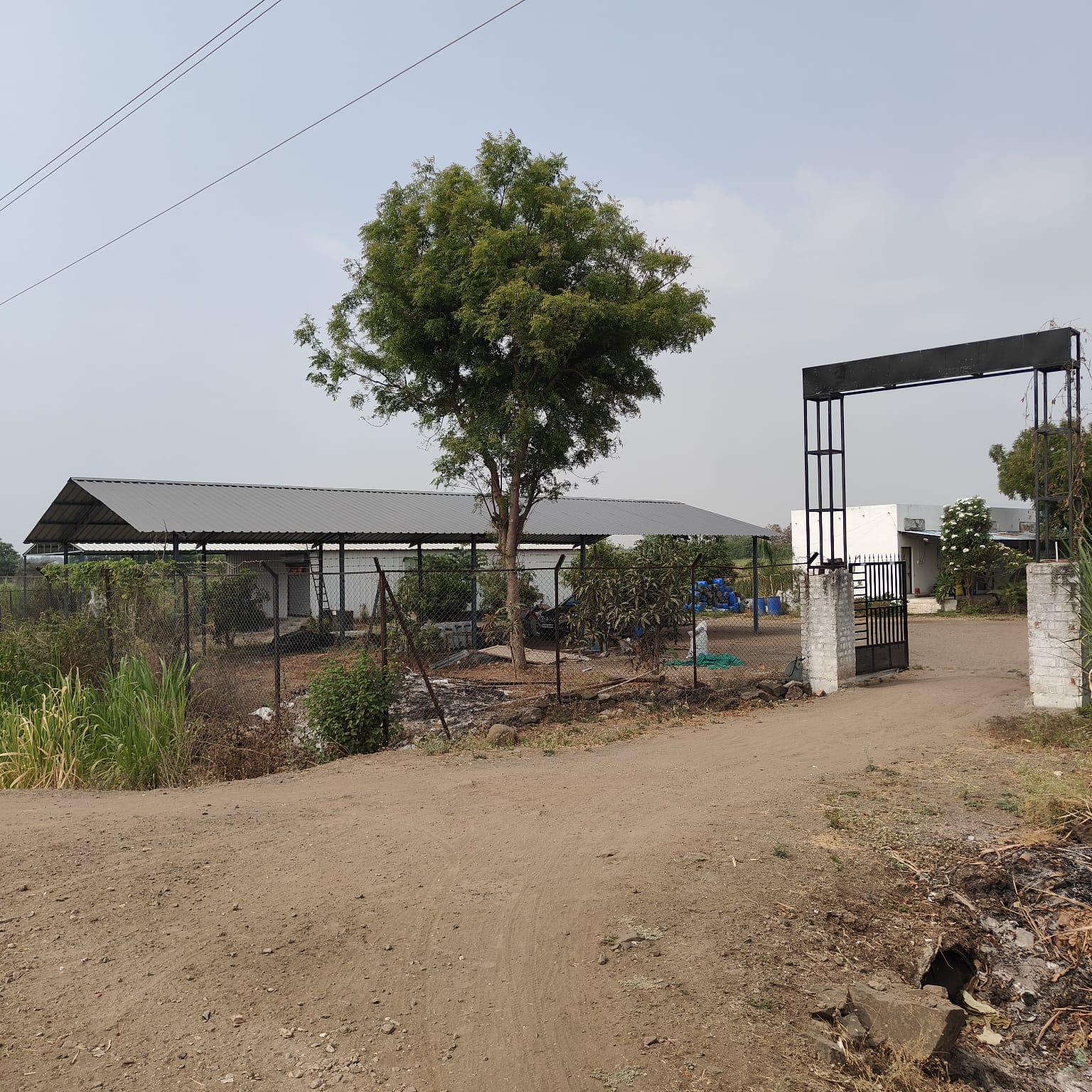 GreenCare AgroTech gallery image 12